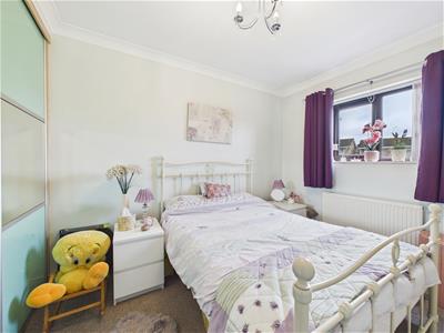 Picture 20